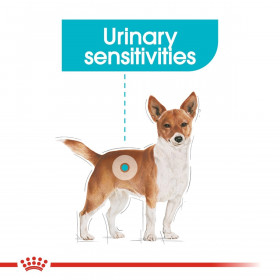 Суха храна за кучета Royal Canin Mini Urinary Care -  за малки породи за грижа за уринарния тракт